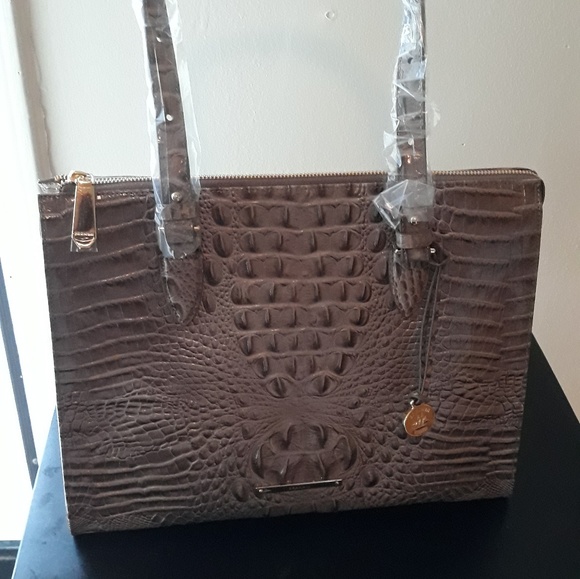 Brahmin - Picture 1 of 2